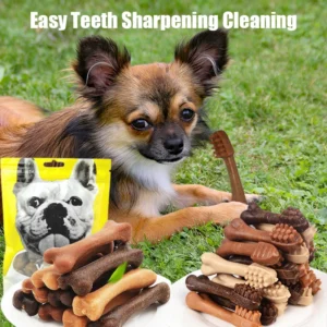 New Dog Bruxism Stick Toothbrush Bone Shape Fresh Natural Nutrition Healthy Adult Dogs Puppy Training Rewards Pet Food Snacks